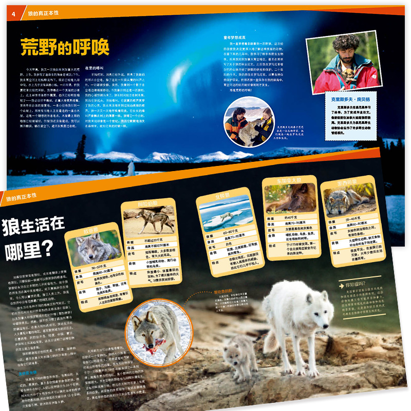 狼的故事 [正版]狼的故事 8-10-12岁德国少年儿童百科知识全书 什么是什么was ist was珍藏版 小学生课外高清大图