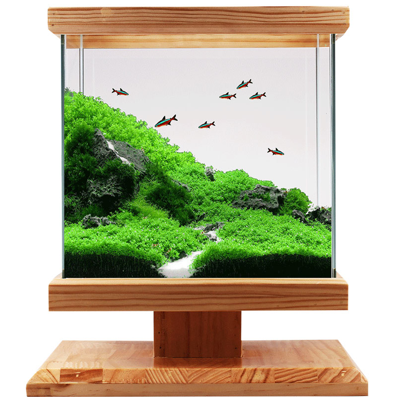 鱼缸水族箱超白玻璃创意鱼缸金鱼缸 小鱼缸造景生态鱼缸高清大图