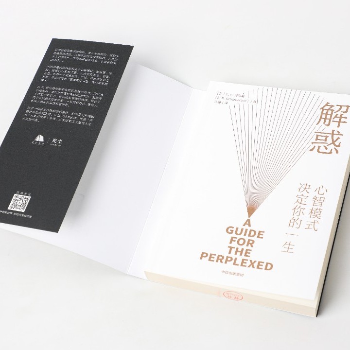 [正版]央视网解惑 心智模式决定你的一生 EF舒马赫著 陈春花 樊登 启发史蒂芬·柯维写下了高效能人士的7个习惯人生哲高清大图