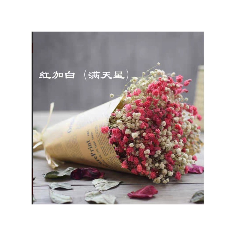 莱杉花瓶/花艺报价_参数_图片_视频_怎么样_问答-苏宁易购