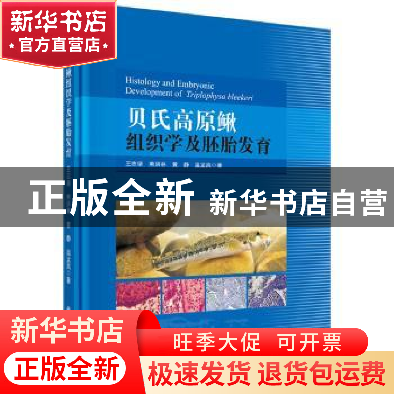 正版 贝氏高原鳅组织学及胚胎发育 王志坚[等]著 科学出版社 978高清大图