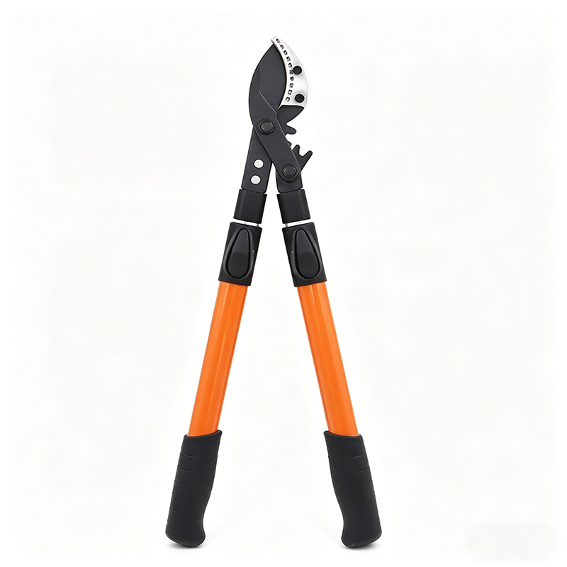 垫片qwq512506541453045458654