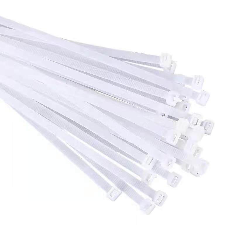 智铮朗月 尼龙扎带 5*400mm 根高清大图