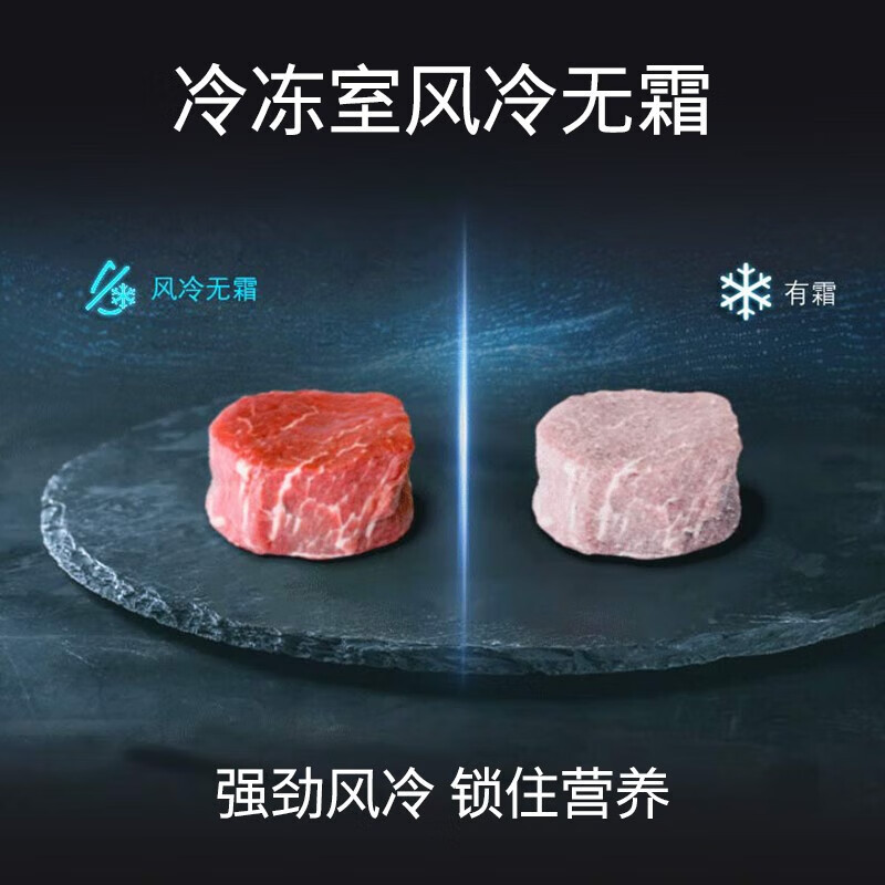 西门子530升对开门变频电冰箱双开门大容量家用 超薄机身 风冷无霜 玻璃面板KA92VB356C