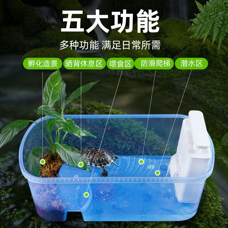 养乌龟专用龟缸龟箱家养造景大型龟养殖缸鳄龟蓝色小号生态缸271712cm