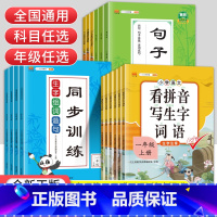 4本套装]看拼音+练字帖+阅读+组词 四年级下 [正版]看拼音写词语一二三四五六年级上册下册小学语文拼音拼读同步训练生字