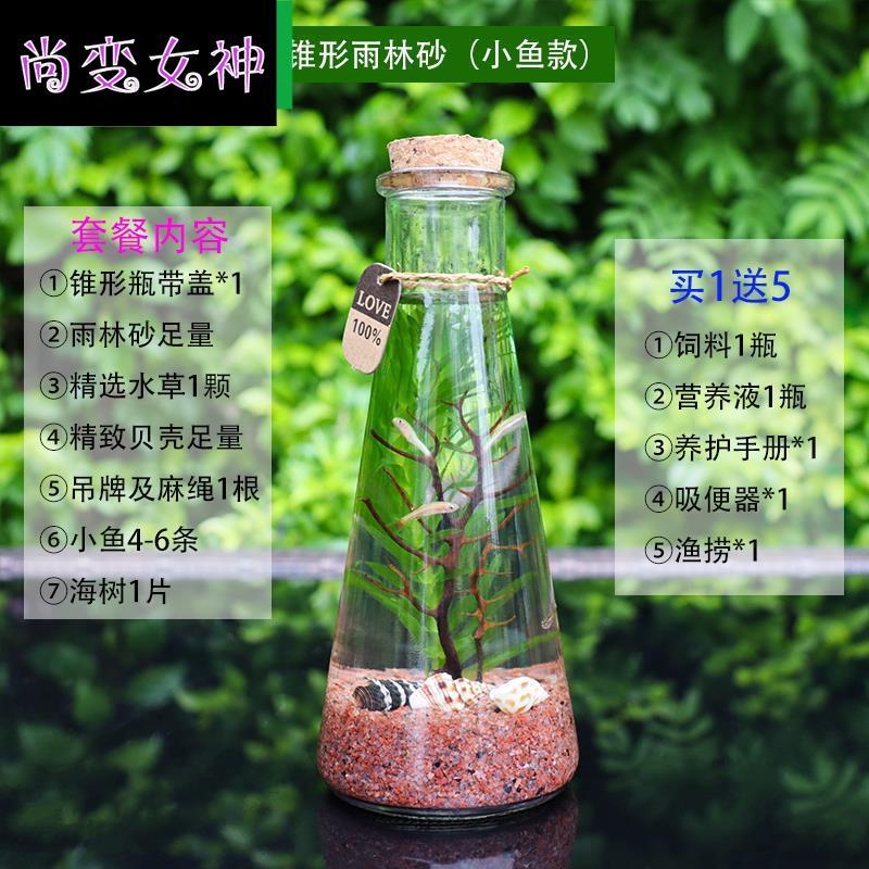 银色 锥形雨林砂小鱼 观赏鱼生态瓶微景观免换水diy水族箱办公桌面创意造景斗鱼玻璃缸