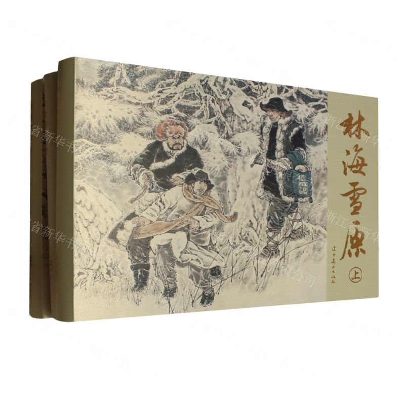 [N]林海雪原(上中下)(精)-9787531495291高清大图