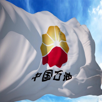 ZDET 中国石油标志旗6号 40*60cm(面)