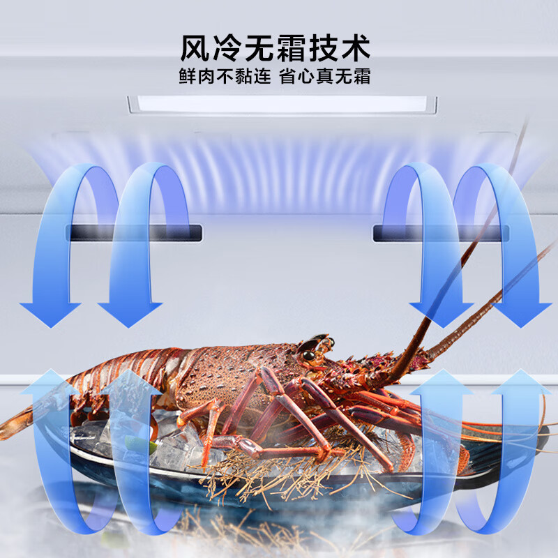 海信240升立式冰柜 变频一级能效风冷无霜冷柜 母婴母乳冷藏冷冻抽屉式单门冰箱BD-240WPVUT高清大图