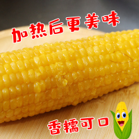 农得客博斯糯9号东北新鲜黄糯玉米200g*5根