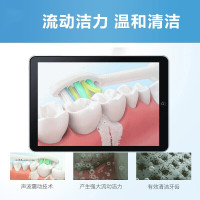 【送4支刷头+旅行盒】飞利浦（PHILIPS）电动牙刷HX3216/01 时尚粉蓝 成人声波震动式清新洁净