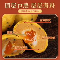 珍丽友 肉松饼解馋小吃零食蛋黄酥休闲食品夜宵充饥早餐代餐面包整箱点心100g