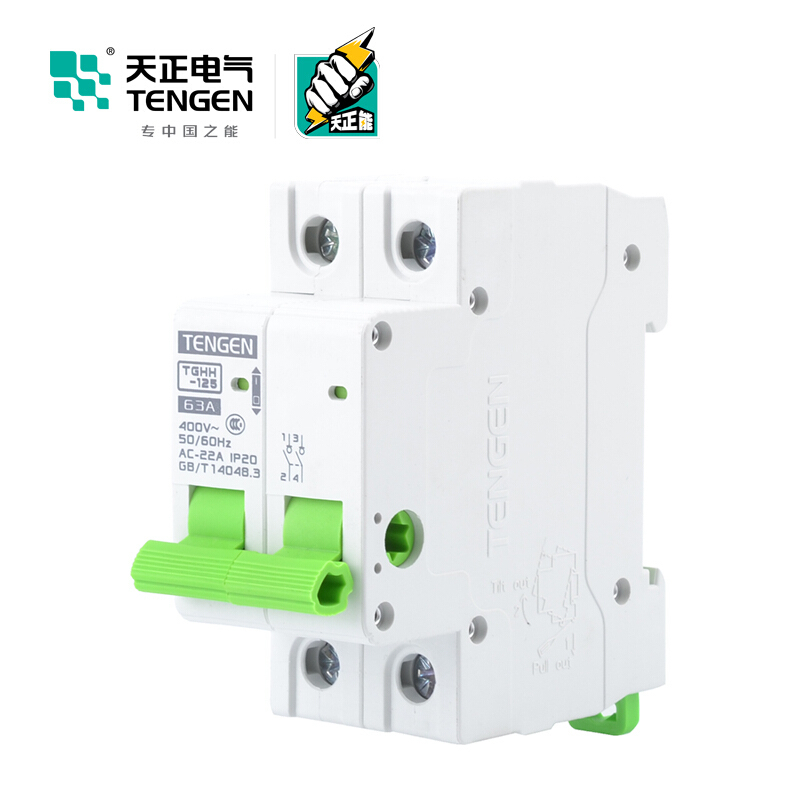 天正电气瑞彩系列TGHH-125 空气开关 2P 63A 336011200006 微型断路器