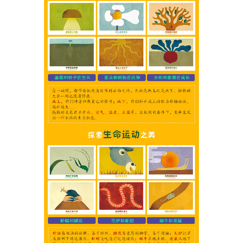 醉染图书孩子的套自然认知绘本:地上·地下9787510162503