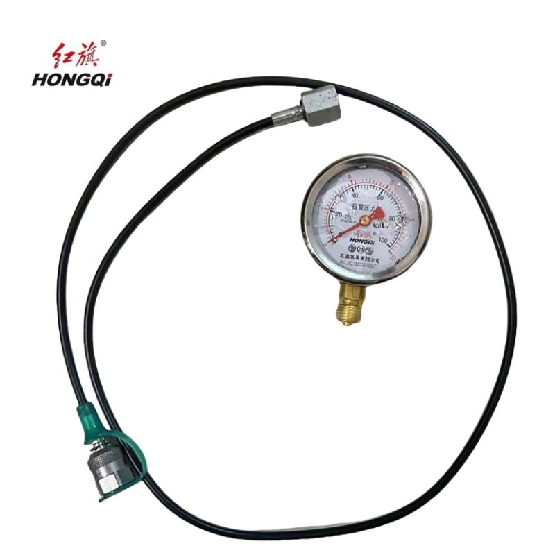 红旗 耐震压力表YTN60 压力值需备注(含2米测试软管) 块