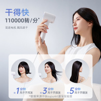 蓝宝(BLAUPUNKT)高速吹风机家用等离子护发大风力速干恒温电吹风机BP-FT01-BAI