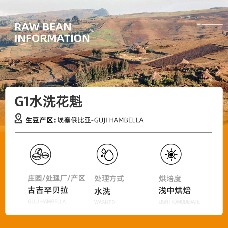 DGTOP花魁咖啡豆手冲水洗G1精品阿拉比卡咖啡豆100g/罐装单一产地G1浅烘新鲜烘焙