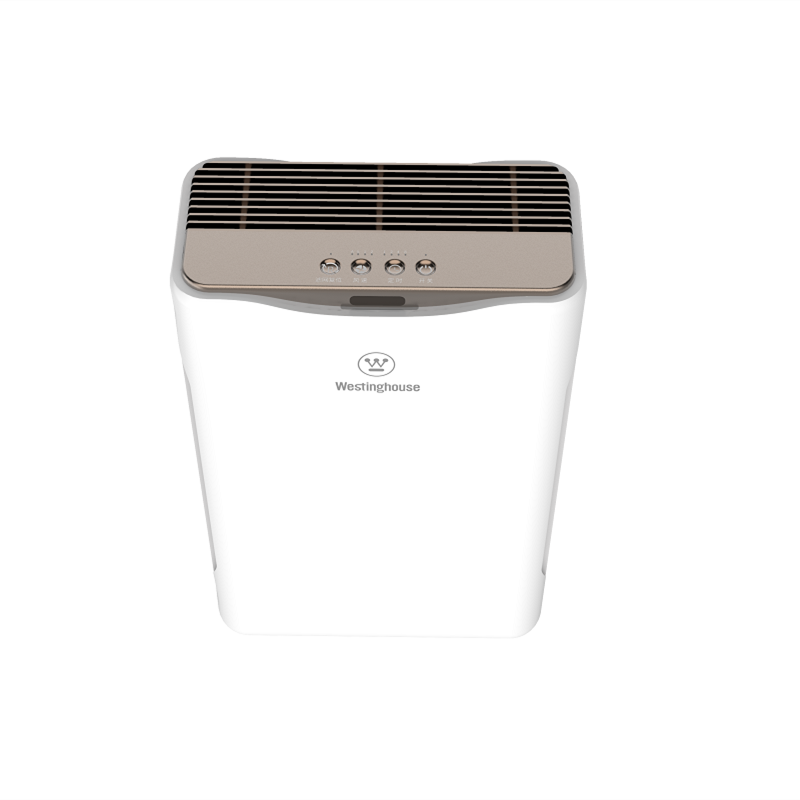 西屋空气净化器专业除霾型AWT-2000G(专供版)