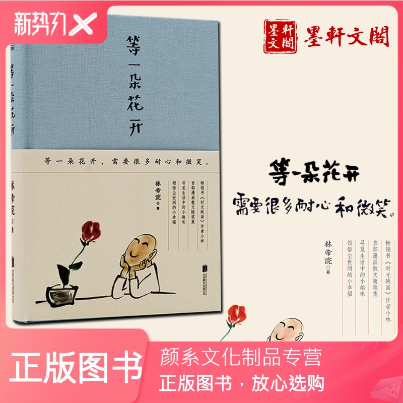 【颜系图书】精装正版 未读文艺家 等一朵花开 林帝浣 文艺摄影师