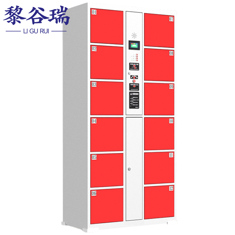 黎谷瑞智能寄存柜 电子存包柜12门条码台