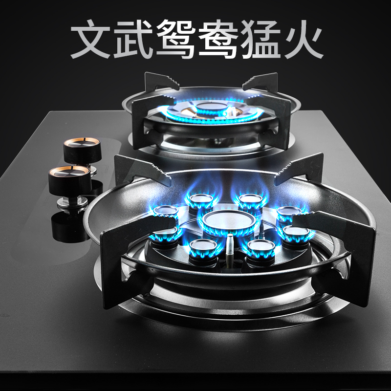 天然气-雅乐思XS2125BY 荷叶仿生科技,纳米不沾油设计,文武鸳鸯猛火灶 5.2KW大火力