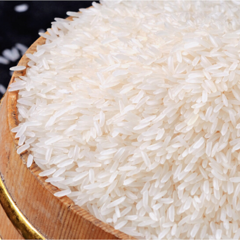 金健 泰香那米5kg/10斤 籼米晚稻米 长粒优质食用米 湖南优质大米