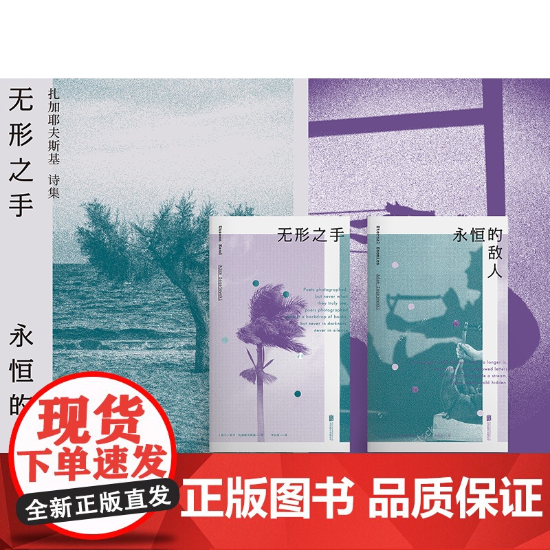 永恒的敌人:扎加耶夫斯基诗集II高清大图