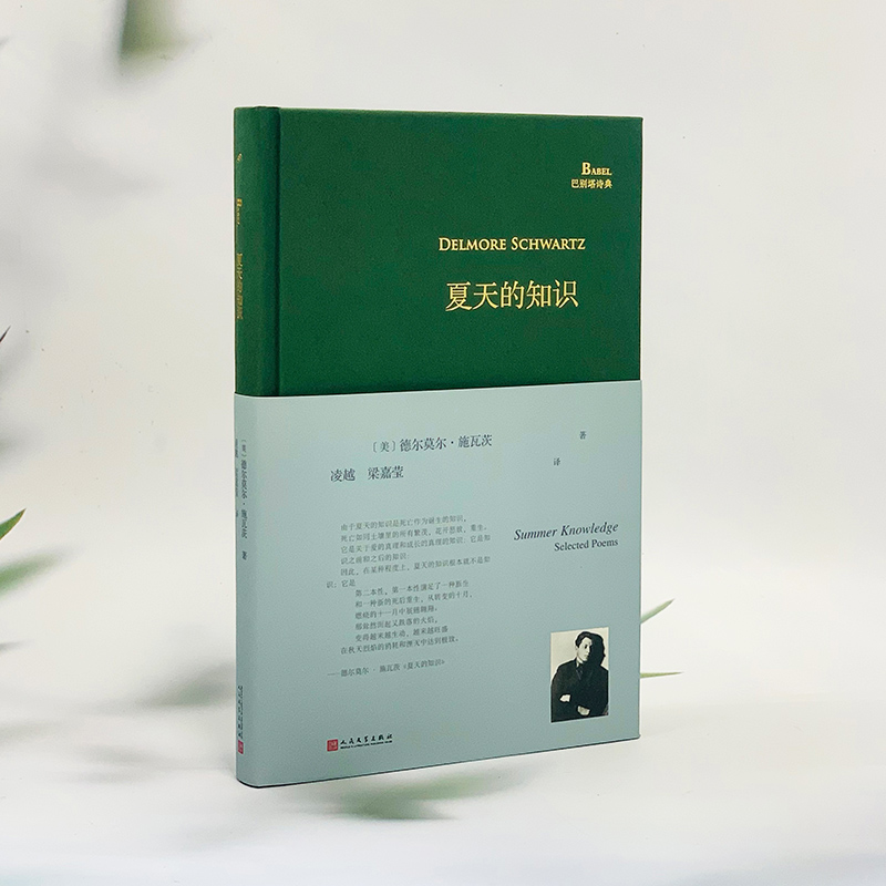 [正版]夏天的知识(美国现代诗人德尔莫尔·施瓦茨中译本诗集,在知识、理性、想象之间找到诗意的平衡,荣获博林根诗歌奖)高清大图