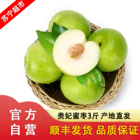 [顺丰直发]台湾贵妃蜜枣当季现摘发货水果 脆甜多汁 3斤装 现摘贵妃蜜枣