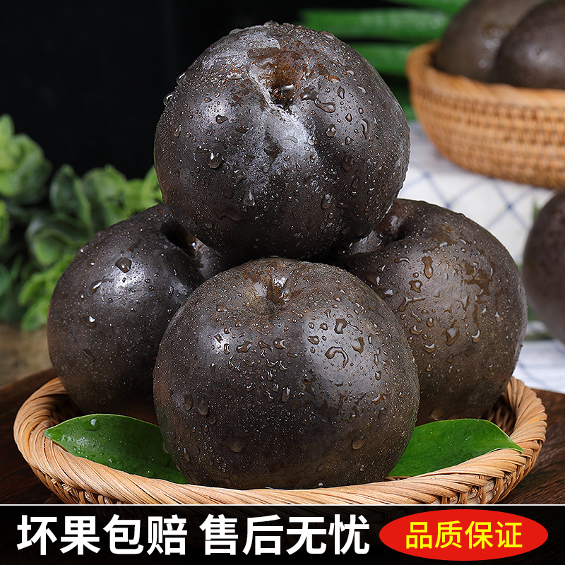 [苏鲜生]高原藏乌梨 净重2.7斤 时令黑梨非东北冻梨现摘大果无添加天然整箱