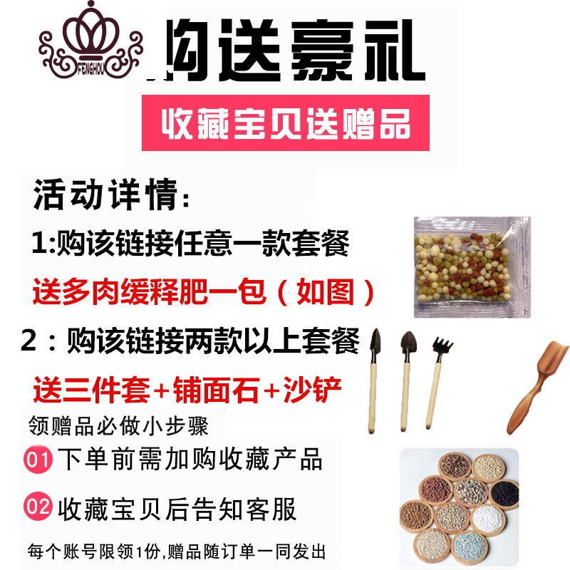 封后新款多肉植物组合盆栽含盆含土肉肉植物多肉植物新手套餐植物肉肉 随机15颗多肉+15个彩盆含土(定有贵货) 含盆