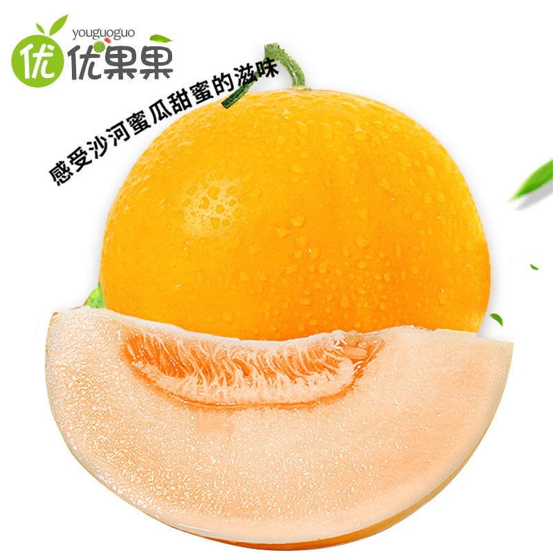 甘肃民勤蜜瓜带箱5-6斤 约2枚左右应季当季新鲜水果现摘现发黄皮新鲜水果蜜瓜甜瓜黄河蜜瓜