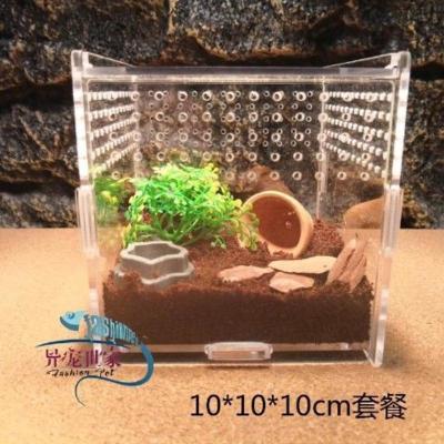 C款迷你盒套餐10*10*10cm 爬虫饲养盒透明亚克力蜘蛛守宫角蛙甲虫寄居蟹造景宠物爬宠饲养箱