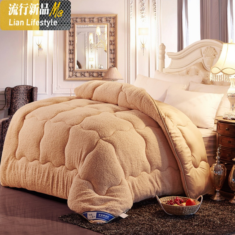 10斤被子冬被羊羔绒双面被加厚保暖棉被单人学生宿舍冬季被芯春秋 三维工匠