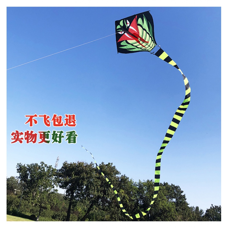 潍坊青蛇风筝 成人风筝15米/30米竹叶青蛇风筝长尾初学者微风易飞创意 三维工匠 9米长尾蛇(仅风筝)高清大图