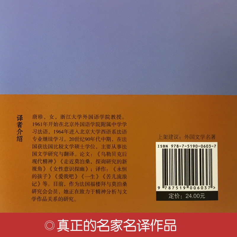 [正版]苦儿流浪记 书 埃克多.马洛原著 青少版励志书 世界名著书籍 四五六年级小学生课外阅读必读书籍hp高清大图