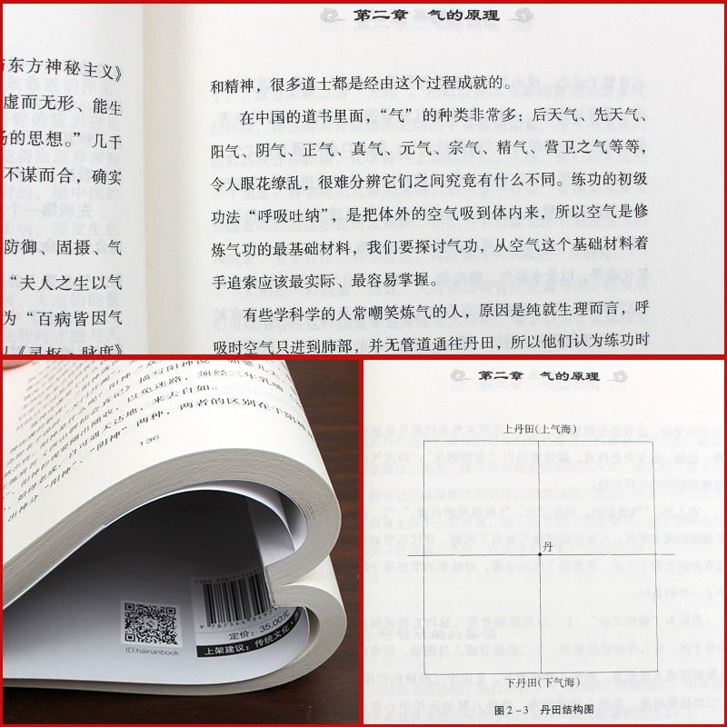 [正版]道家真气 气功修炼次第 若水著 传承两千余年的梅花门修炼心得 气功初学者修炼入门指南 海南出版社 道家内丹之道