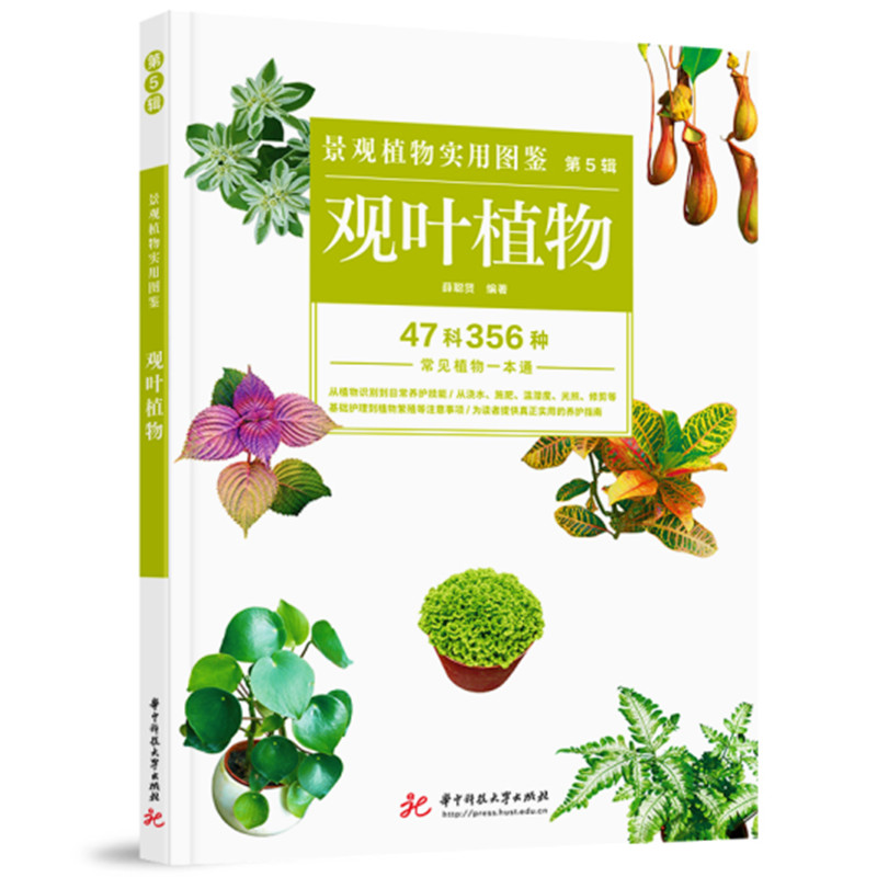 正版新书]景观植物实用图鉴(第5辑):观叶植物薛聪贤978756804高清大图