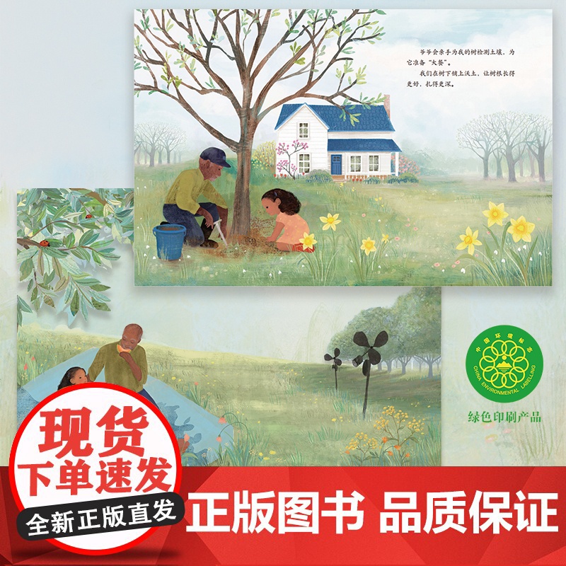我的爷爷我的树 小竹马亲情绘本 3-6岁童书高清大图