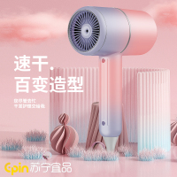 苏宁宜品 电吹风 风雅2家用大功率吹风机强风不伤发风筒 XD-332(SNYP-DCF800-02)