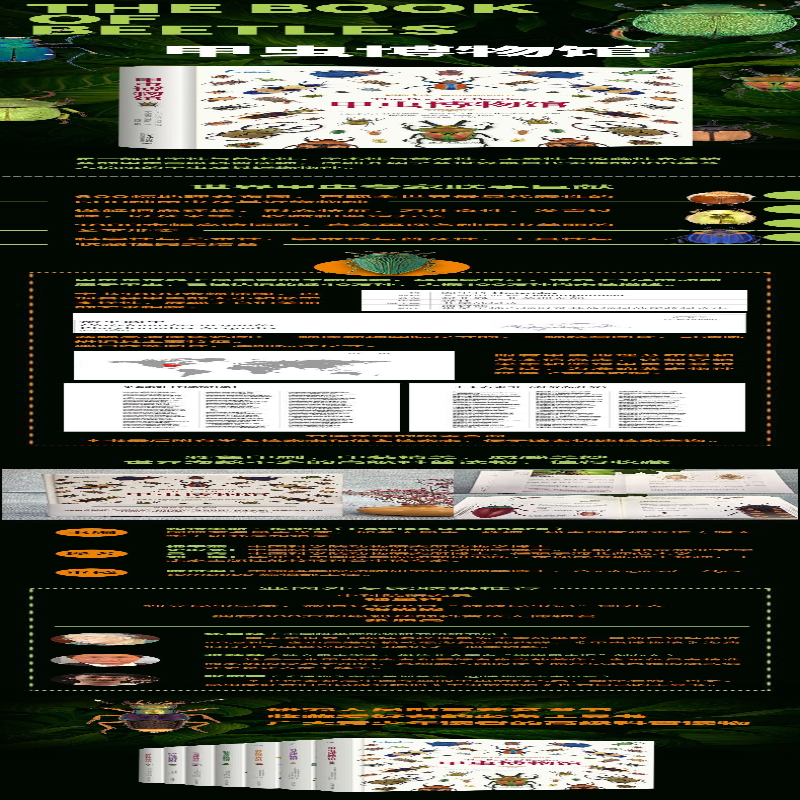 【M】甲虫博物馆-9787301279748