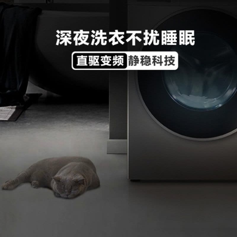 海尔(Haier)10公斤 直驱变频 全自动家用滚筒洗衣机 ABT双喷淋 XQG100-BDX14756GU1图片