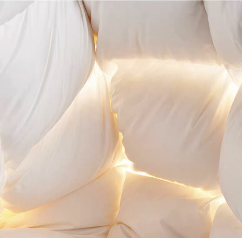 东纺拾光DF3016防羽布被芯被子550g羽丝绒超细纤维250*240cm(计价单位:条)白色高清大图