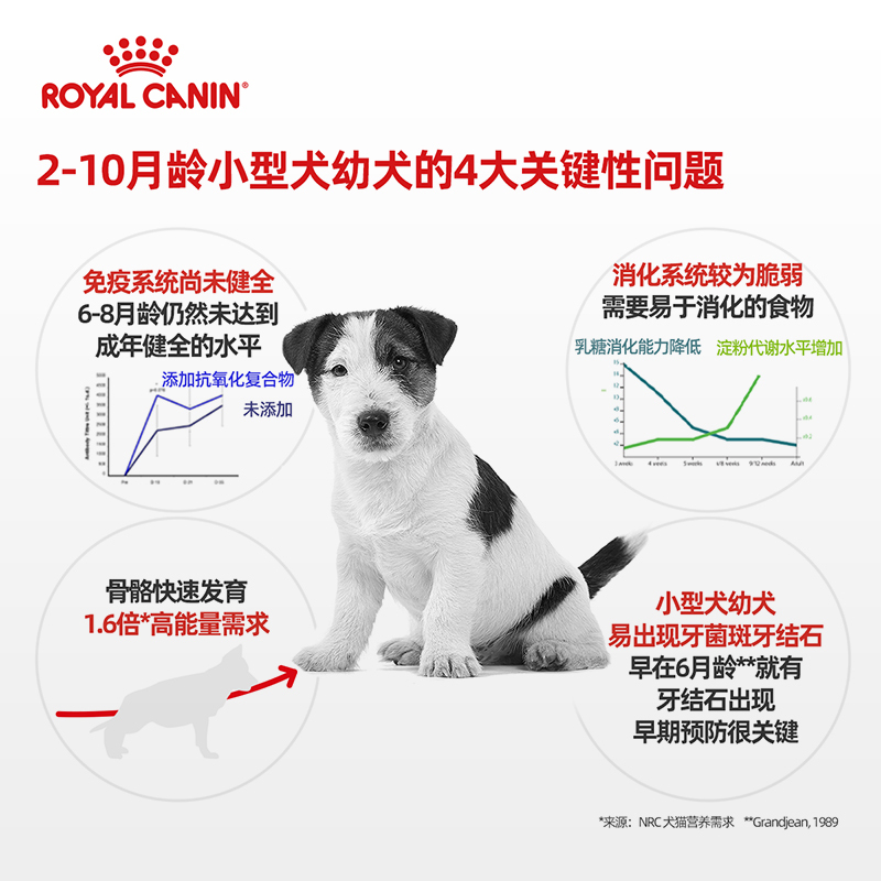 皇家狗粮小型犬幼犬全价粮通用粮MIJ31贵宾泰迪比熊柯基品牌狗粮狗主粮干粮