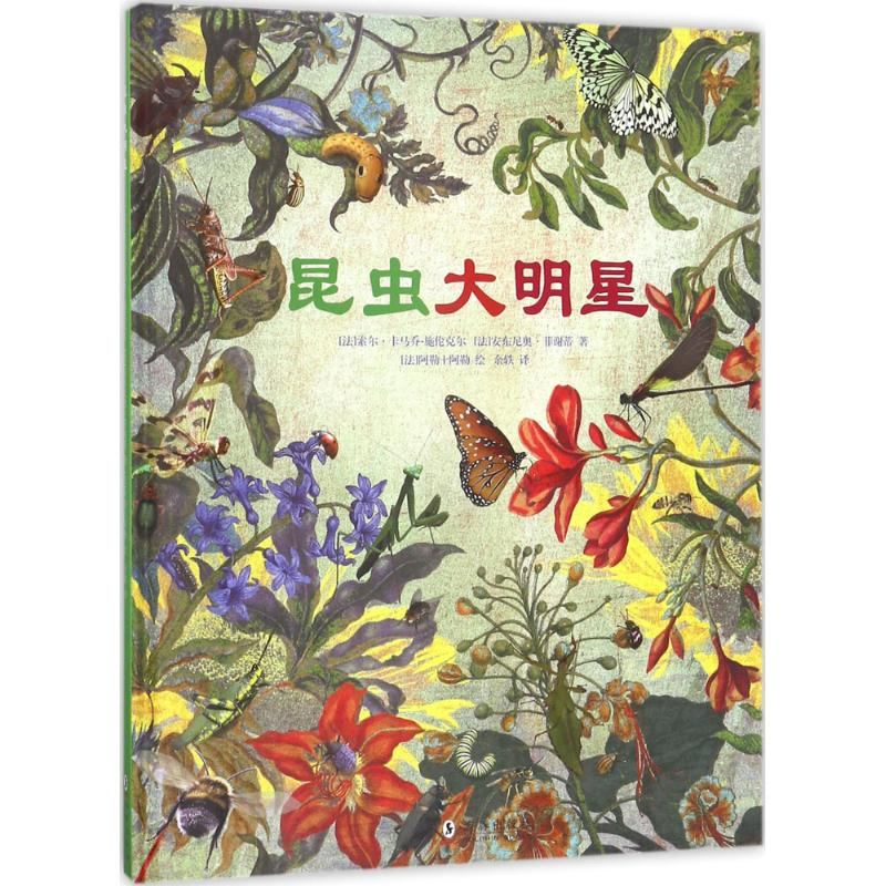 醉染图书昆虫大明星9787511041067高清大图