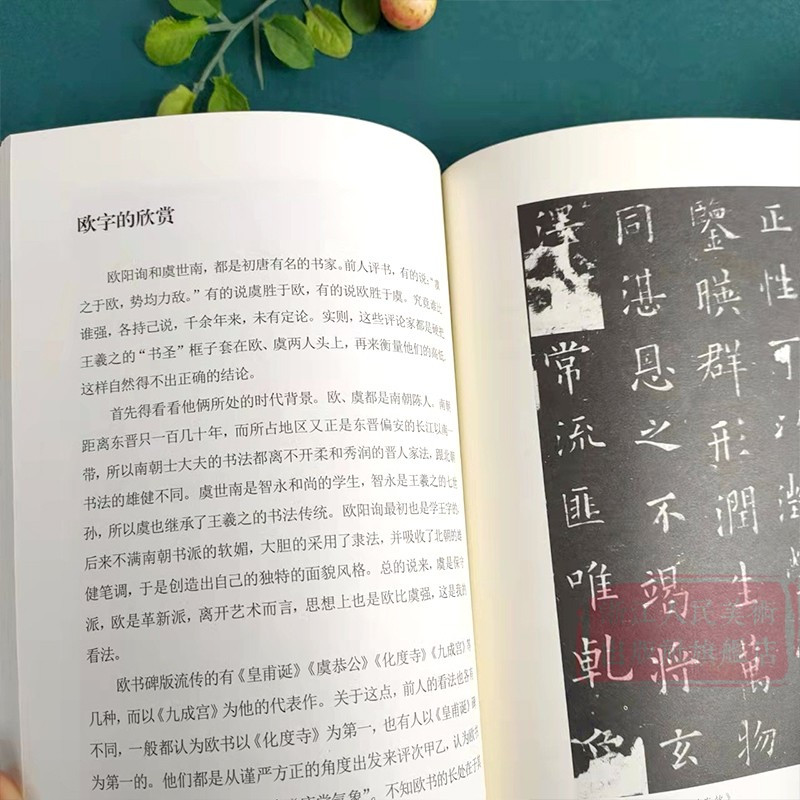 [正版]中国书法的来龙去脉(外二种) 邓散木讲书法代表作 初学者学习入门指南图文并茂书法碑帖临摹 中国书法毛笔字理论书