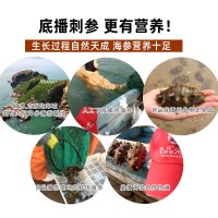 宫品 4A淡干海参刺参250克40-50只中等个头礼盒装 国产生鲜 海鲜水产