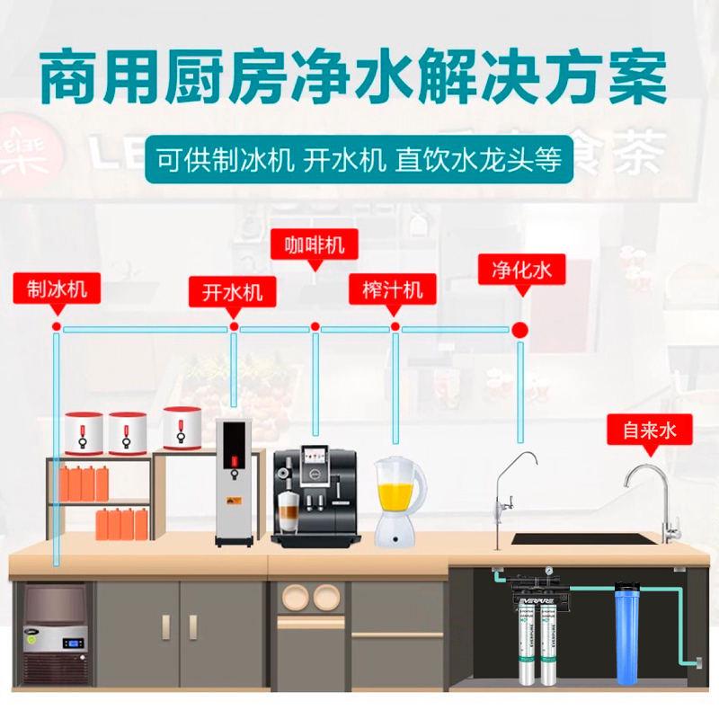 爱惠浦(Everpure)MC2 双滤头 大流量-额定净水量3300L 商用直饮净水器