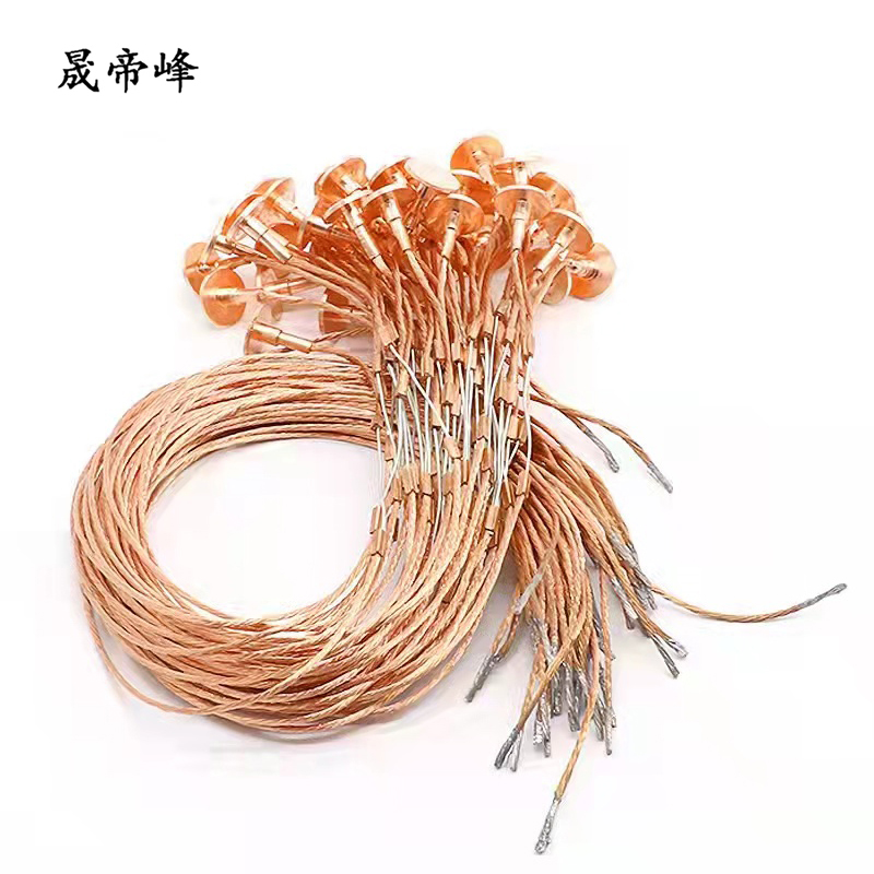 晟帝峰 纽扣式熔丝 10A 根高清大图